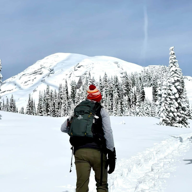Tahoma Retro Pom Beanie